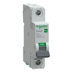 Schneider - Kismegszakító, 1P, B 13A