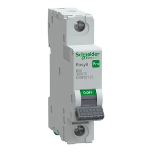 Schneider - Kismegszakító, 1P, B 25A