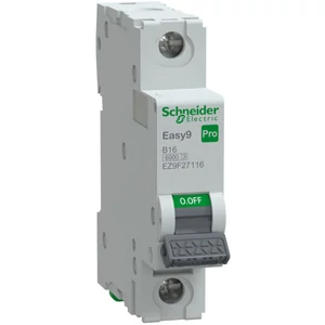 Schneider - Kismegszakító, 1P, B 16A