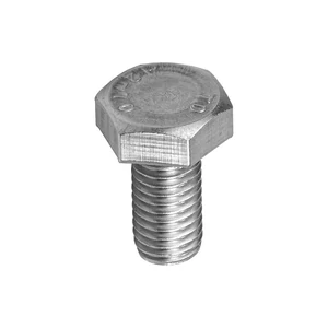 Hatlapfejű csavar - 10x30mm